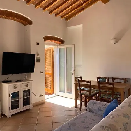 Alloro 1