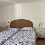 Alloro 1